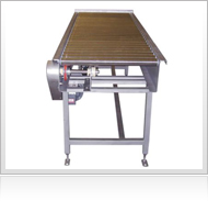 Roller Conveyor